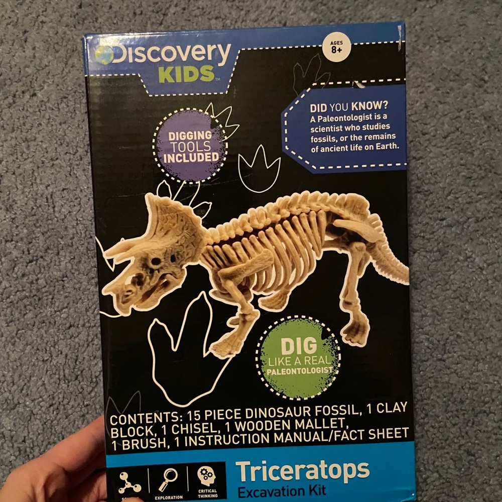 Dinosaur Excavation kit